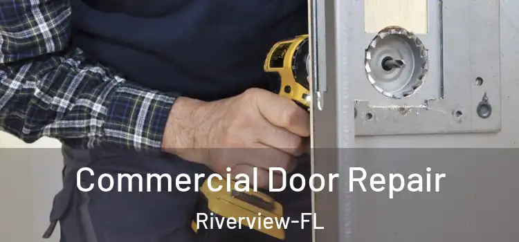  Commercial Door Repair Riverview-FL