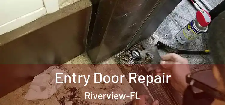  Entry Door Repair Riverview-FL