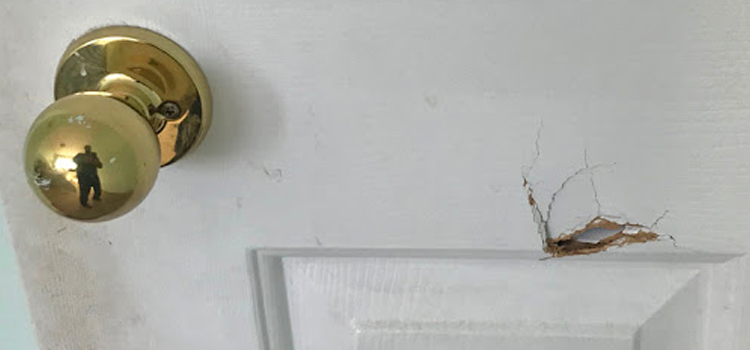 interior door hole repair Riverview