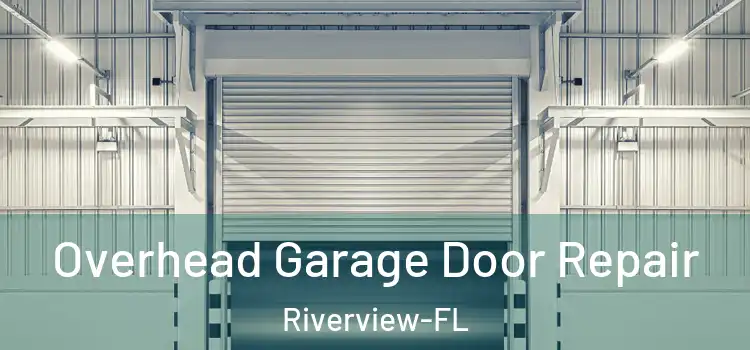  Overhead Garage Door Repair Riverview-FL